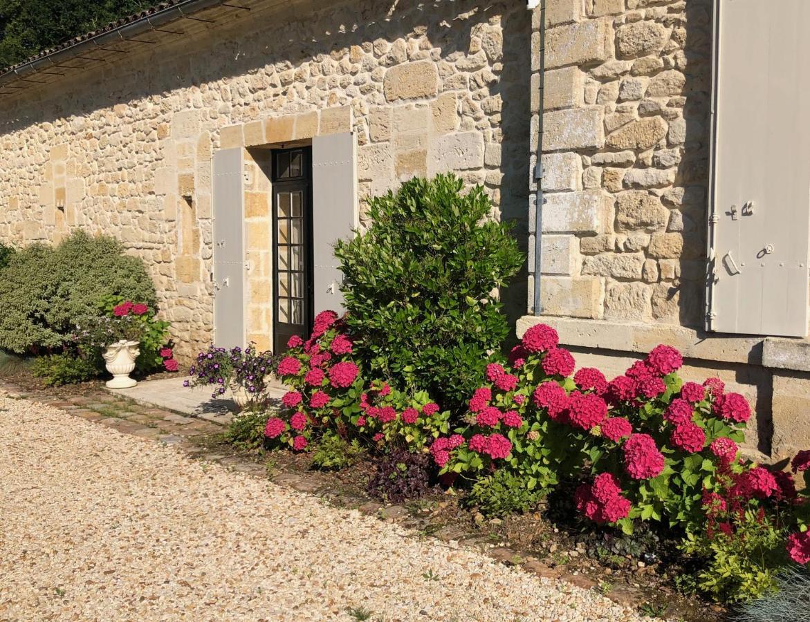 La Suite A Chateau Franc Daut Saint-Magne-de-Castillon Dış mekan fotoğraf