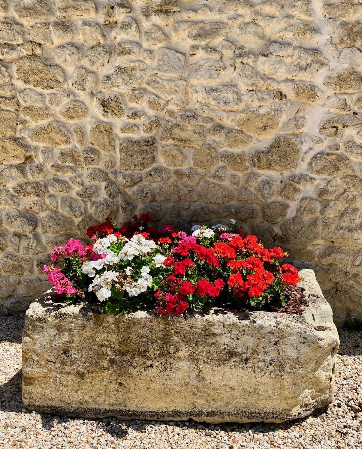 La Suite A Chateau Franc Daut Saint-Magne-de-Castillon Dış mekan fotoğraf