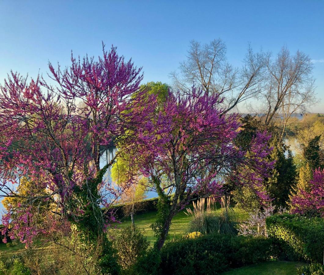 La Suite A Chateau Franc Daut Saint-Magne-de-Castillon Dış mekan fotoğraf